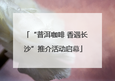 “普洱咖啡 香遇长沙”推介活动启幕